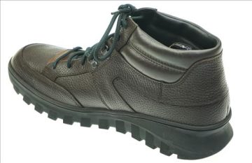 seibel019