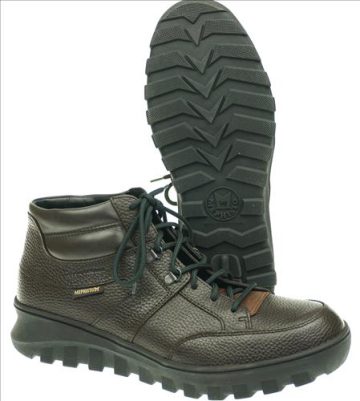seibel019