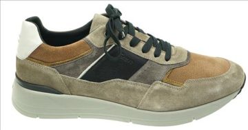 greve walker 7289 02