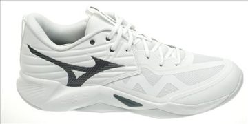 mizuno wave momentum pro