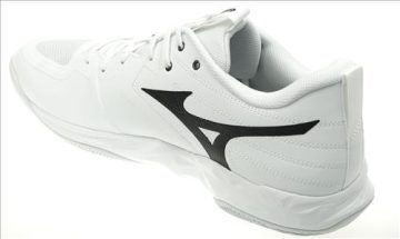 mizuno wave momentum pro